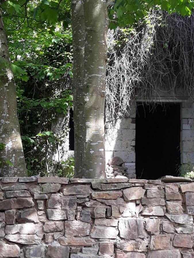 Linde2 Villa Horperath Dış mekan fotoğraf